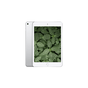 iPad Mini 5 (2019) Wi-Fi