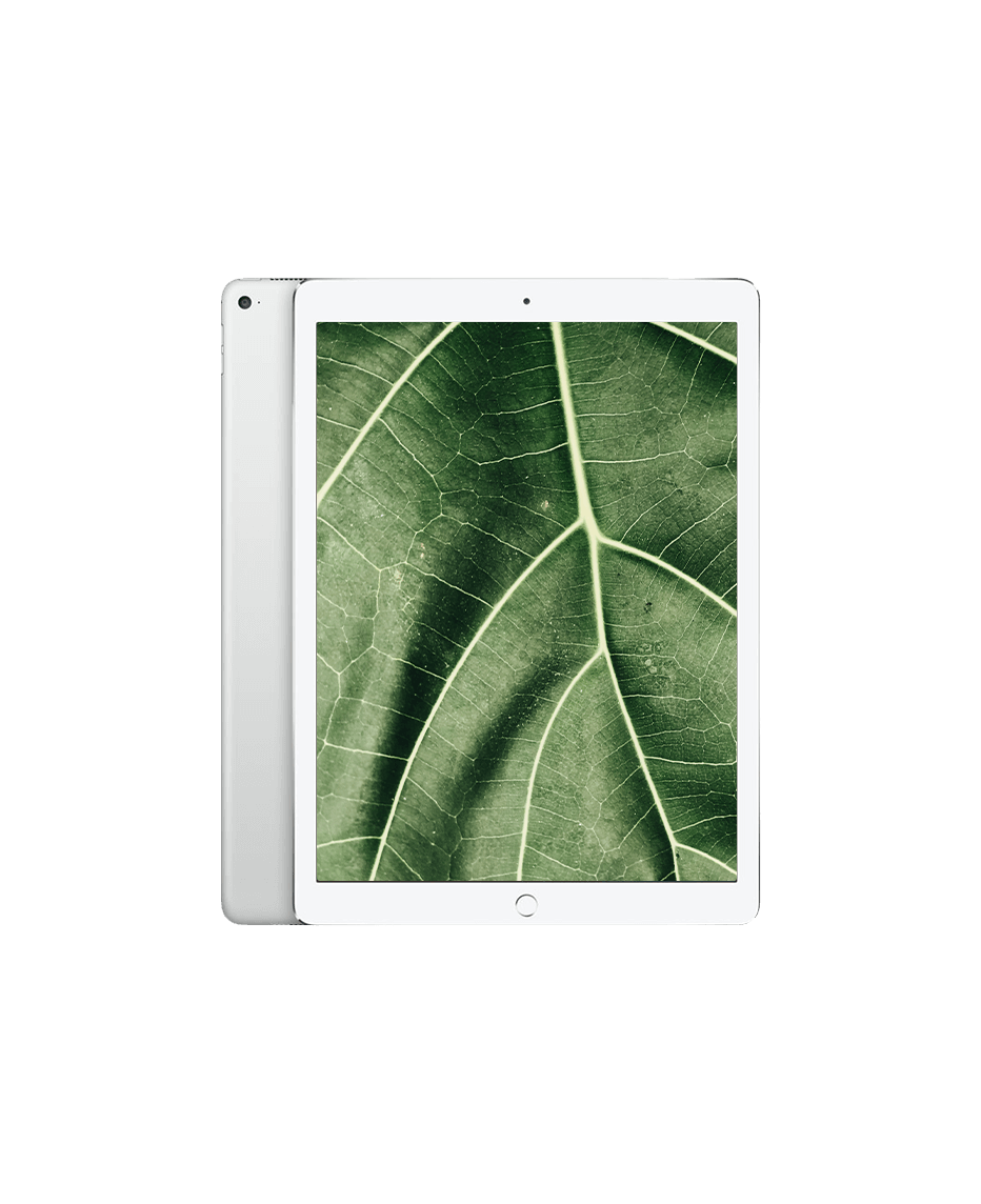 Used iPad Pro 1 (2015) 12.9