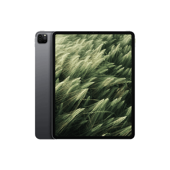 Begagnad iPad Pro 5 (2021) 12.9" Wi-Fi + 5G Rymdgrå