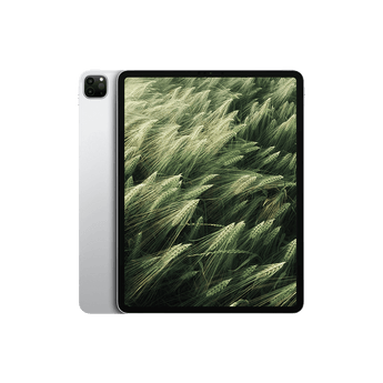 Refurbished 12.9-inch iPad Pro Wi-Fi 256GB - Space Gray (5th Generation)