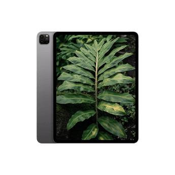 Begagnad iPad Pro 6 (2022) 12.9" Wi-Fi Rymdgrå